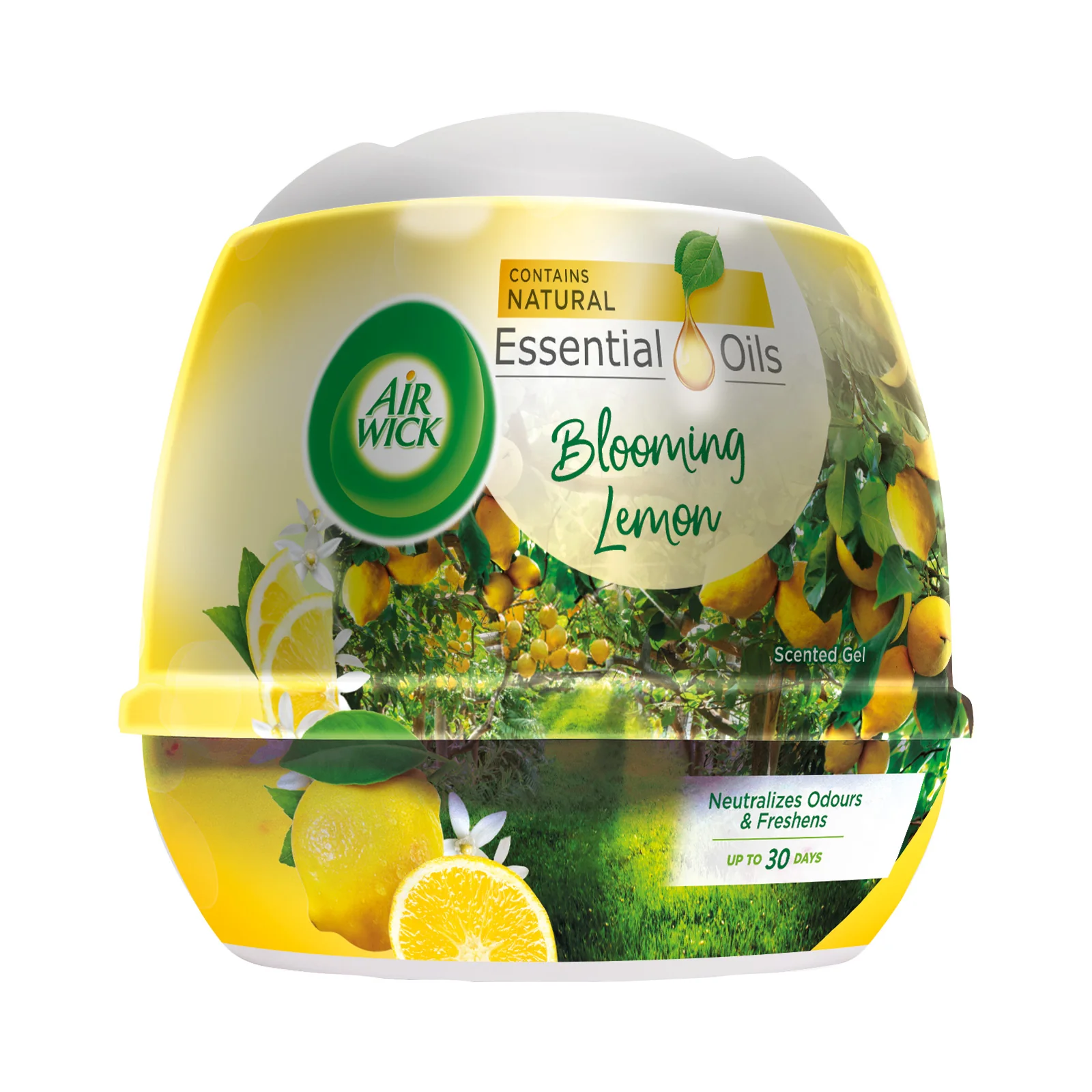 Air Wick Standard Gel Cone Blooming Lemon 180g - Image 2