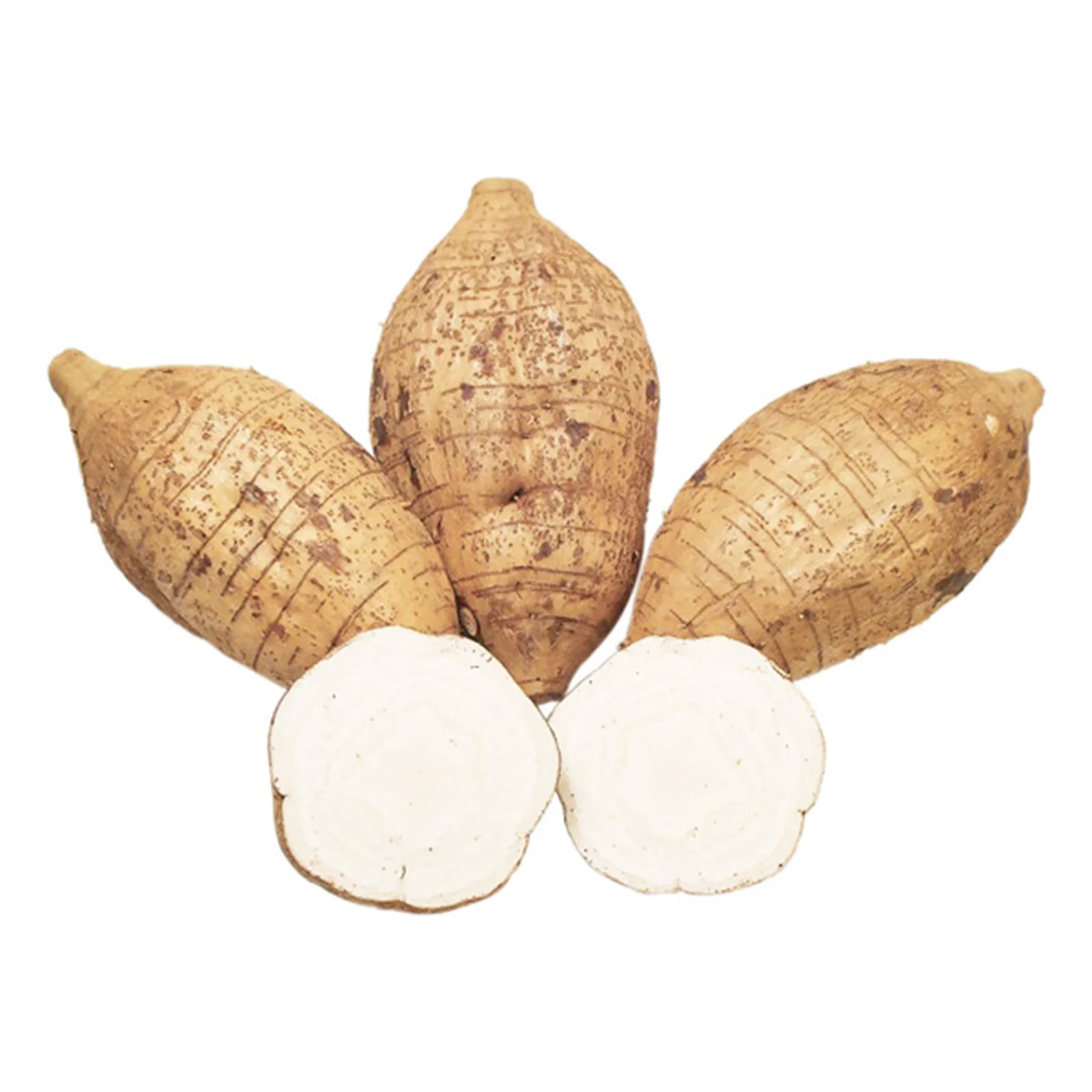 Arrow Root (China) 500g - Image 2