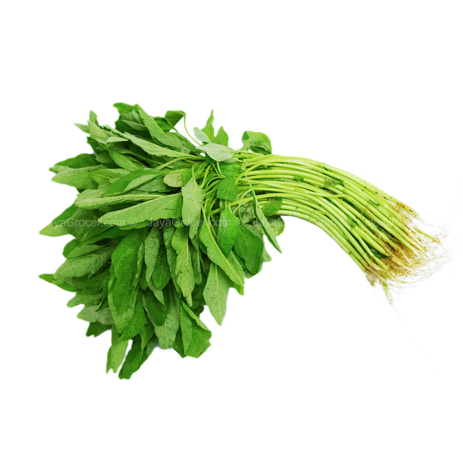 Baby Bayam Tajam (Malaysia) 200g - Image 2