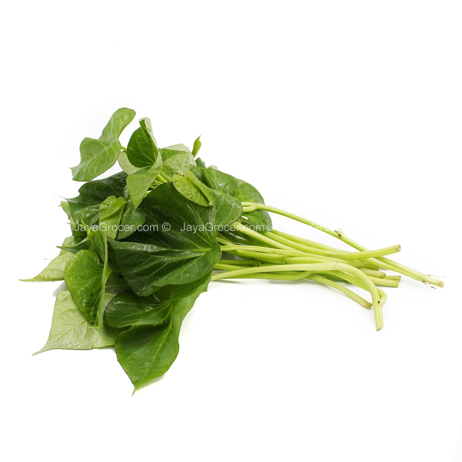 Baby Sweet Potato Leaf (Malaysia) 250g - Image 2