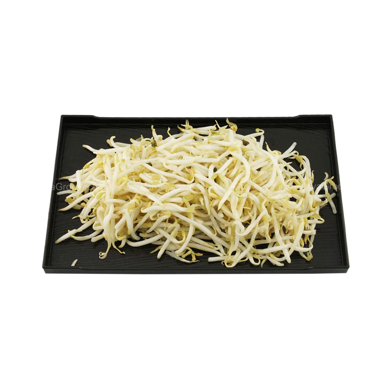 Bean Sprout (Taugeh) 500g - Image 2