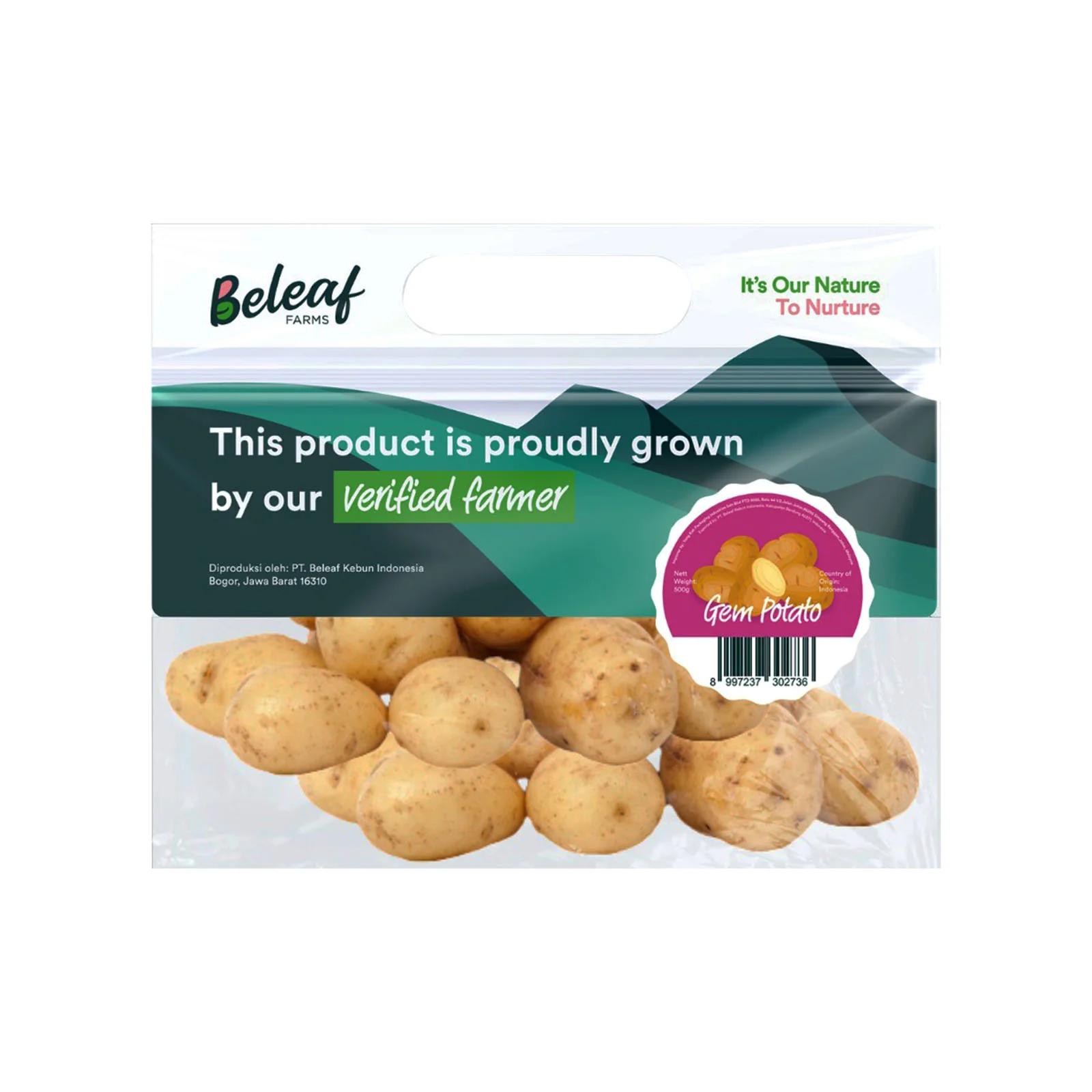 Beleaf Gem Potato (Indonesia) 500g - Image 2
