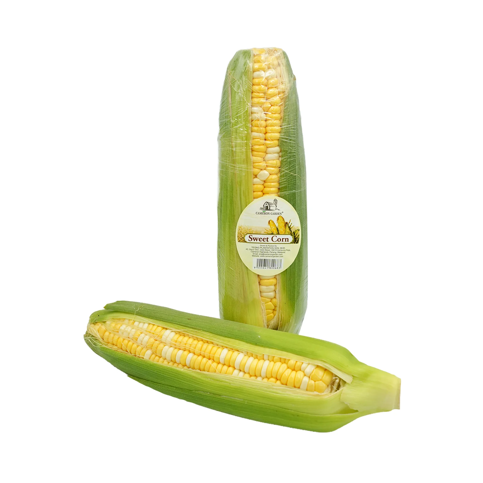 Cameron Bio Color Sweet Corn (Malaysia) 1unit - Image 2