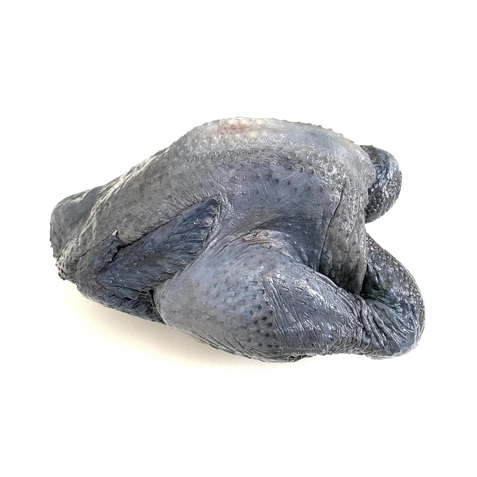 Black chicken 1unit - Image 2