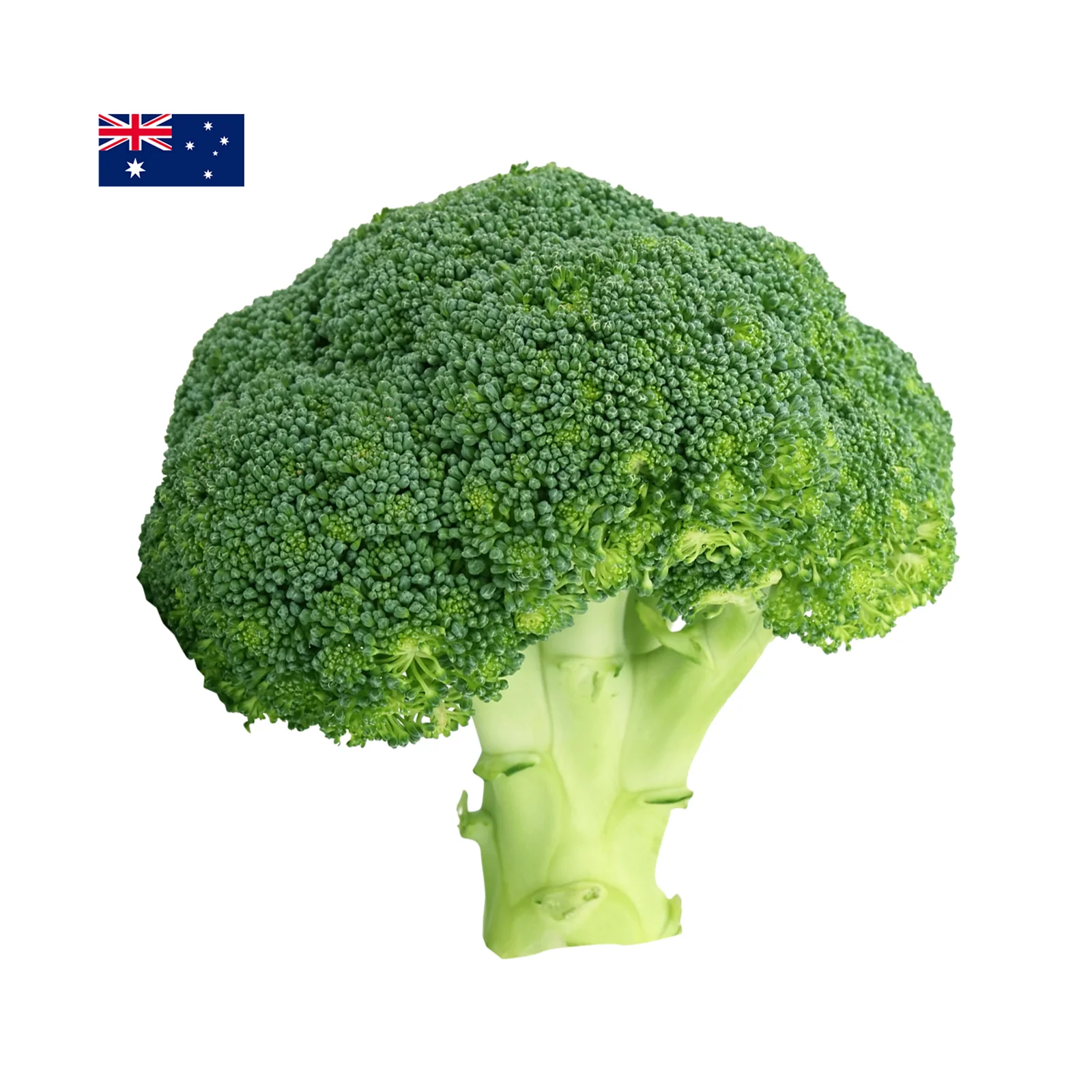 Broccoli (Australia) 350g - Image 2
