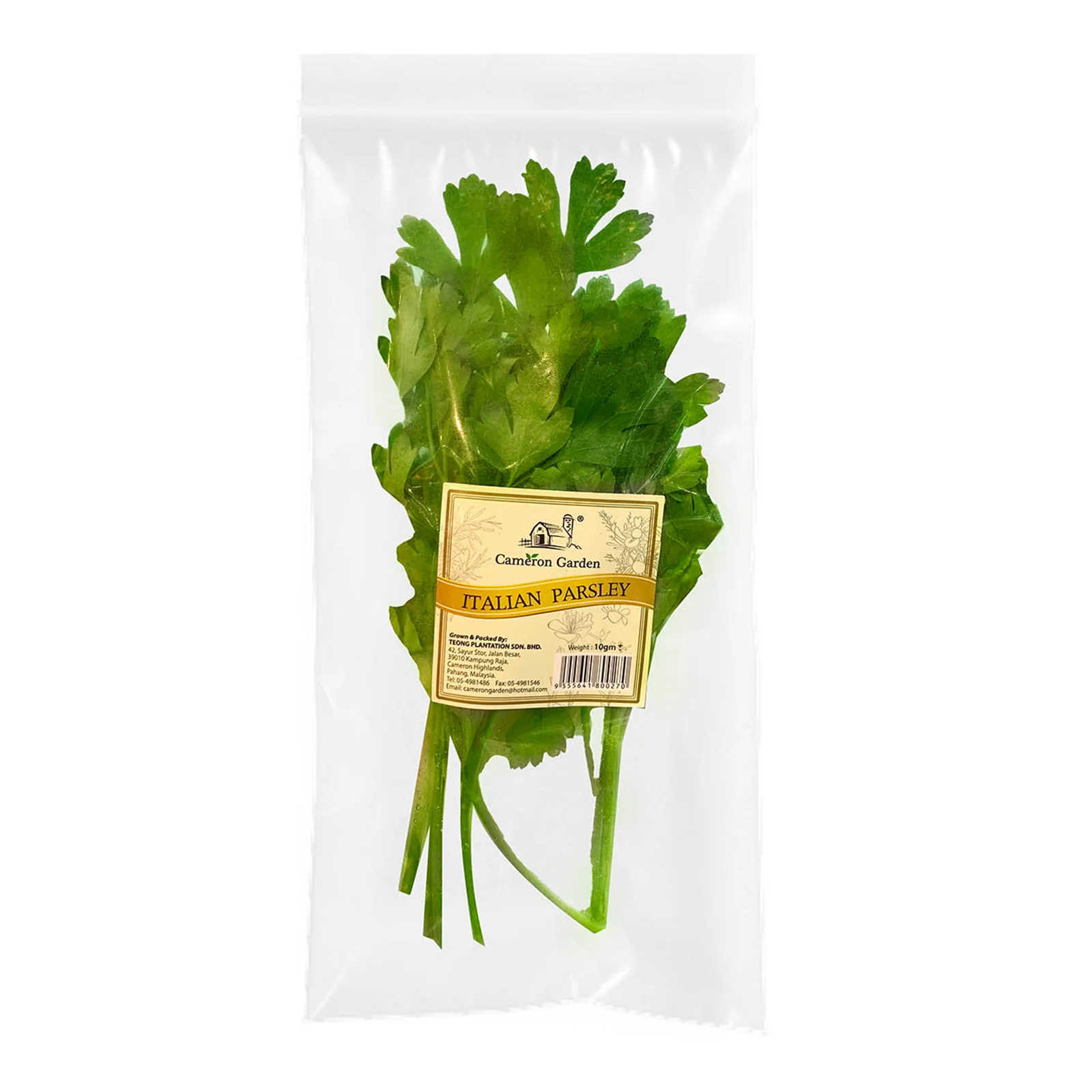 Cameron Garden Italian Parsley Herb (Malaysia) 10g - Image 2