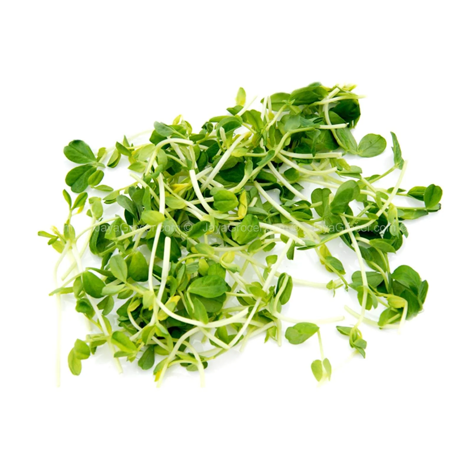 Cameron Garden Pea Sprout (Malaysia) 200g - Image 2