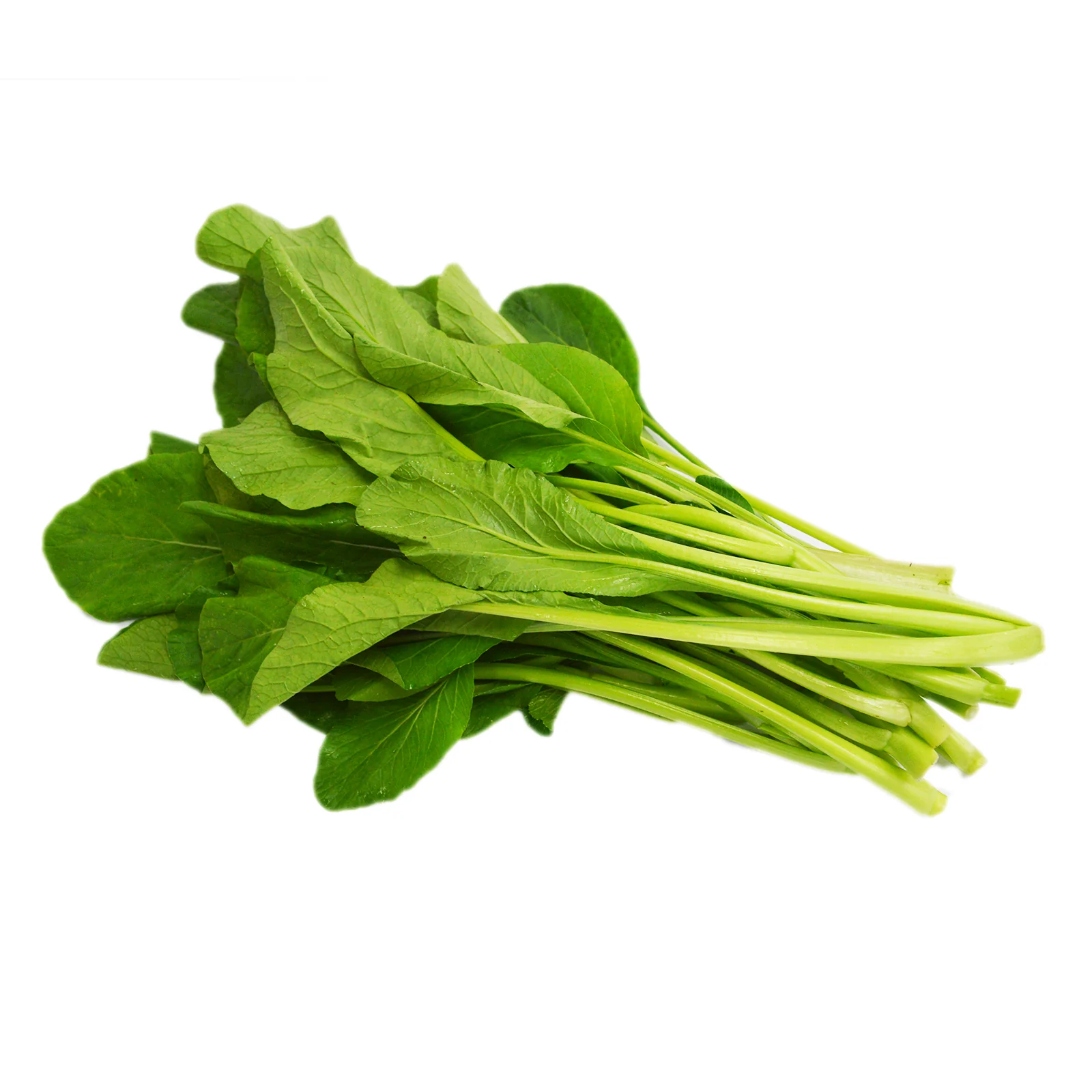 Cameron Garden Probiotic Sawi (Malaysia) 300g - Image 2