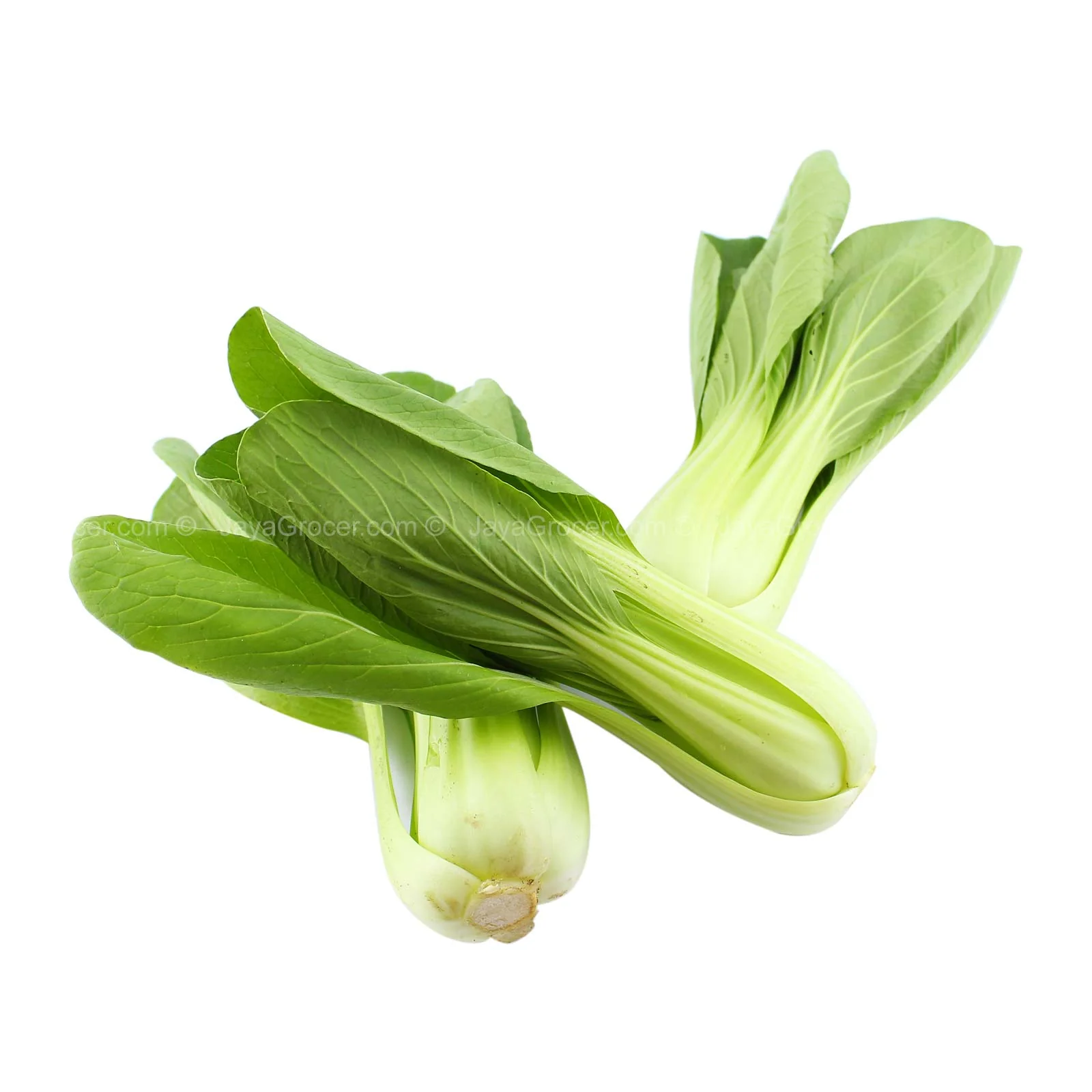 Cameron Garden Probiotic Siew Pak Choy (Malaysia) 250g - Image 2