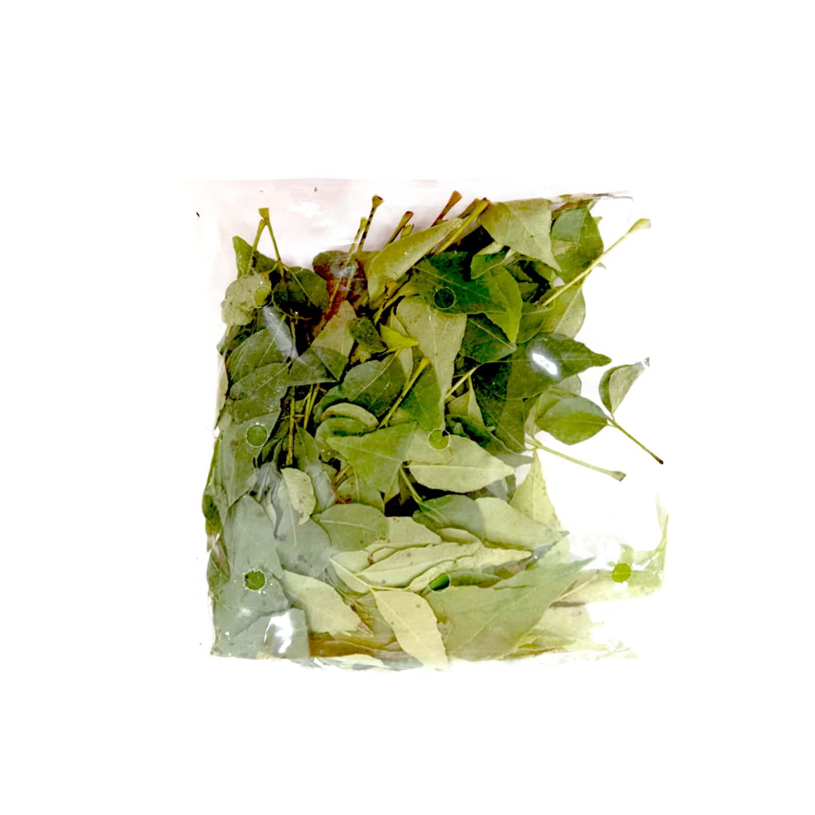 Curry Leaf (Daun Kari) 25g - Image 2