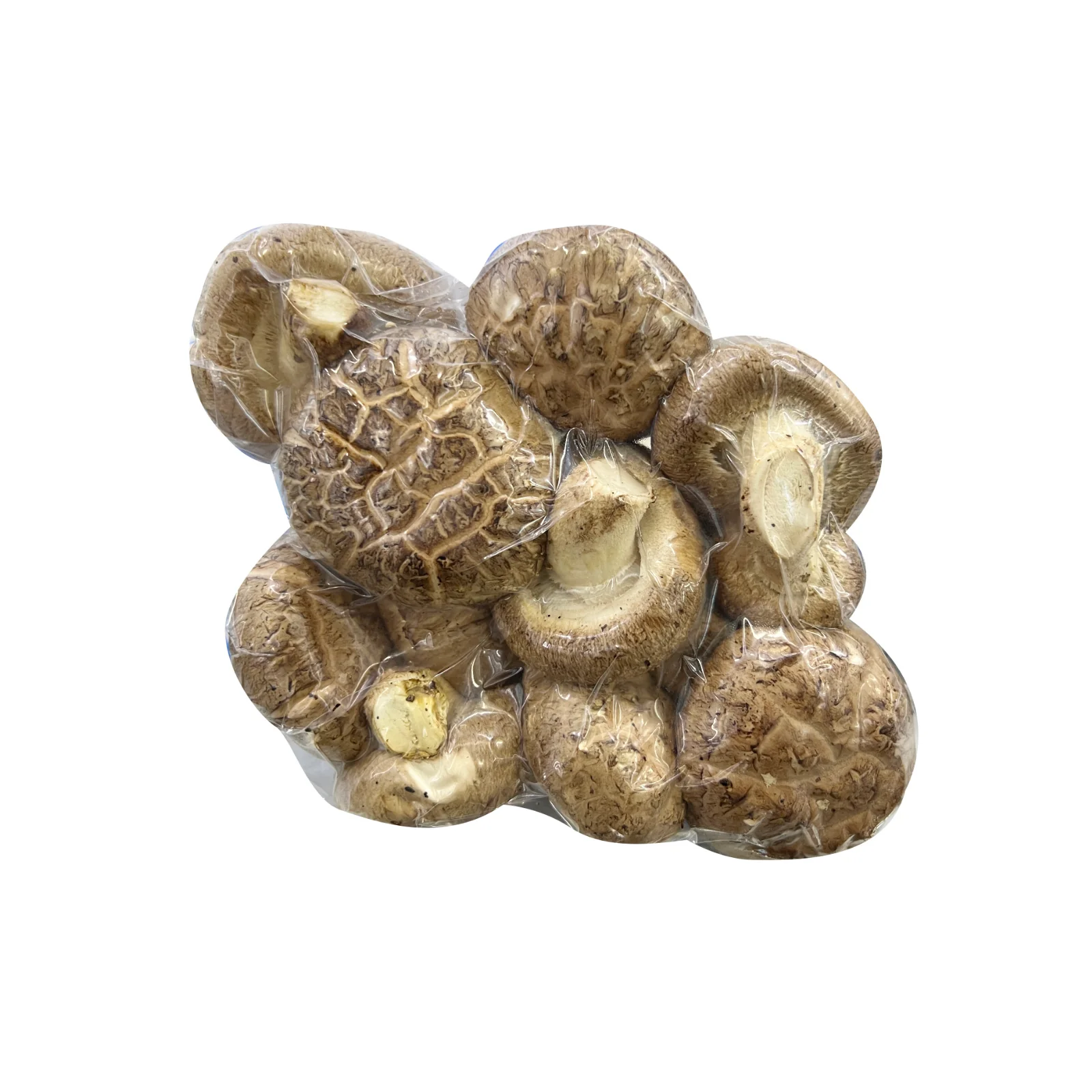 Euro Atlantic Shitake Mushroom (China) 180g - Image 2