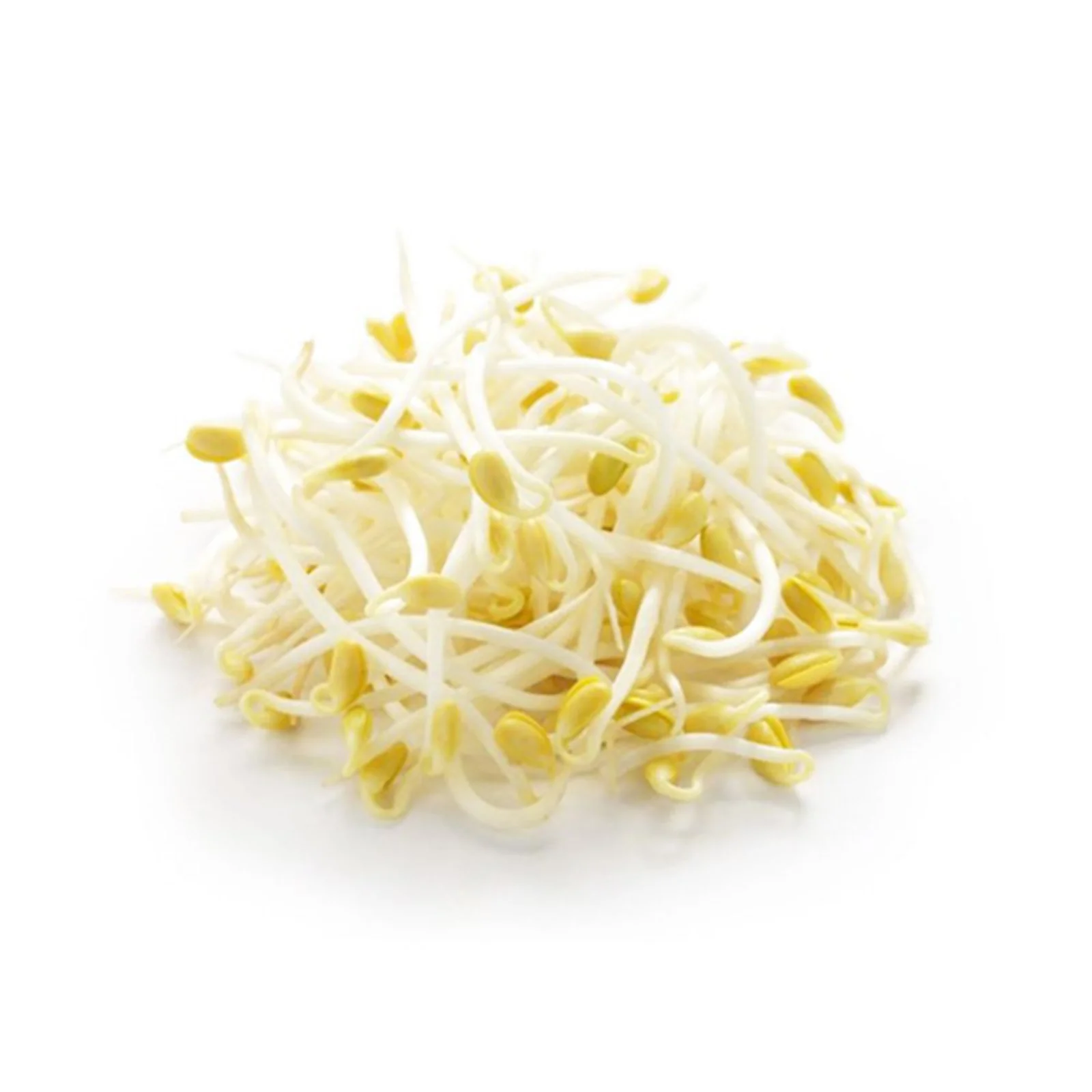 Favric Trading Bean Sprout (Taugeh Besar) (Malaysia) 500g - Image 2