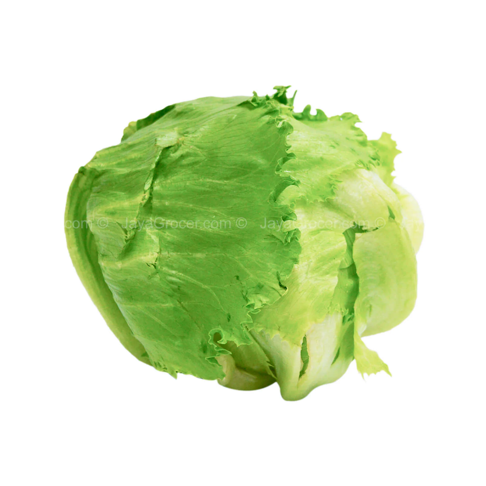 Genting Garden Iceberg Lettuce (Malaysia) 1pack - Image 2