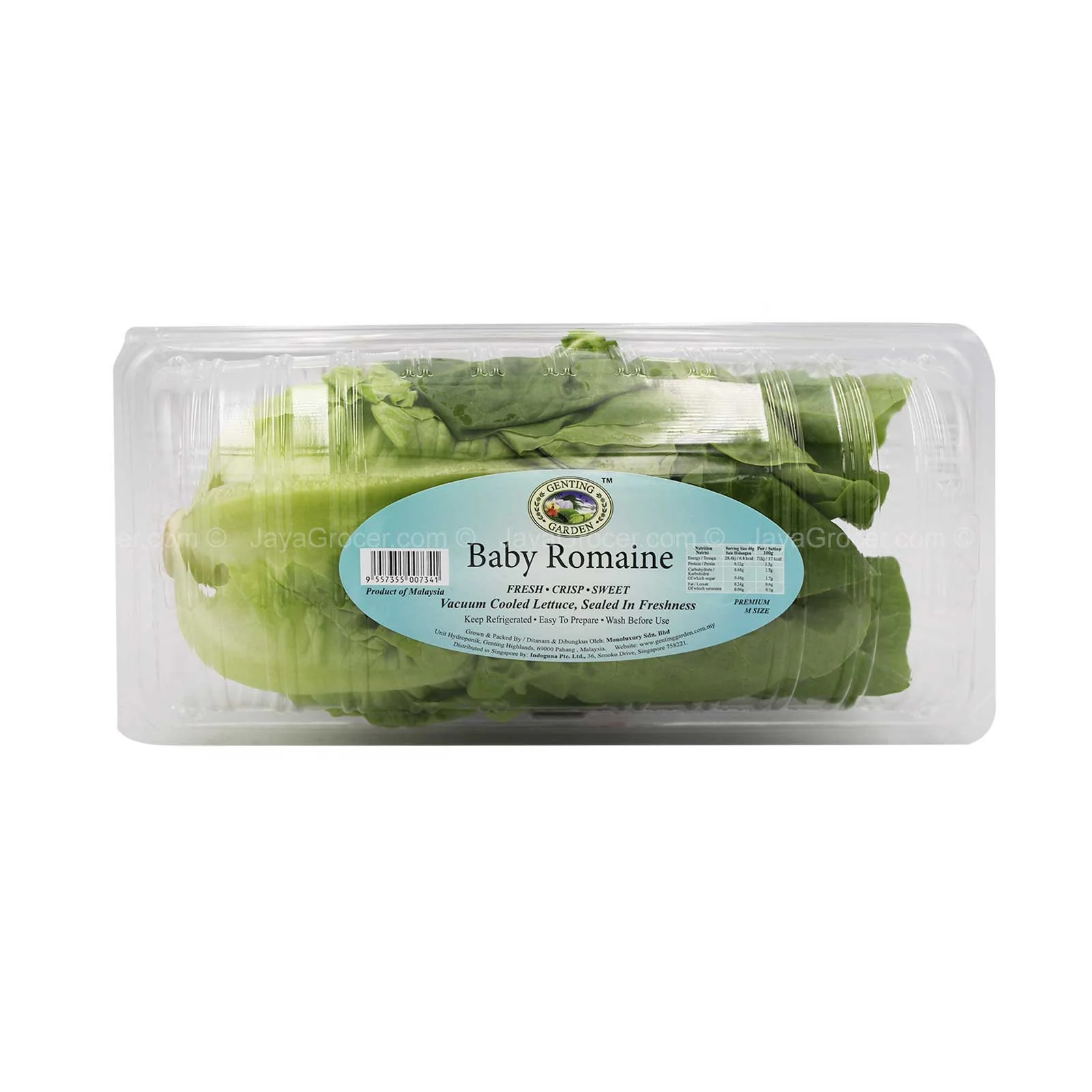 Genting Garden Baby Romaine Lettuce (Malaysia) 200g - Image 2