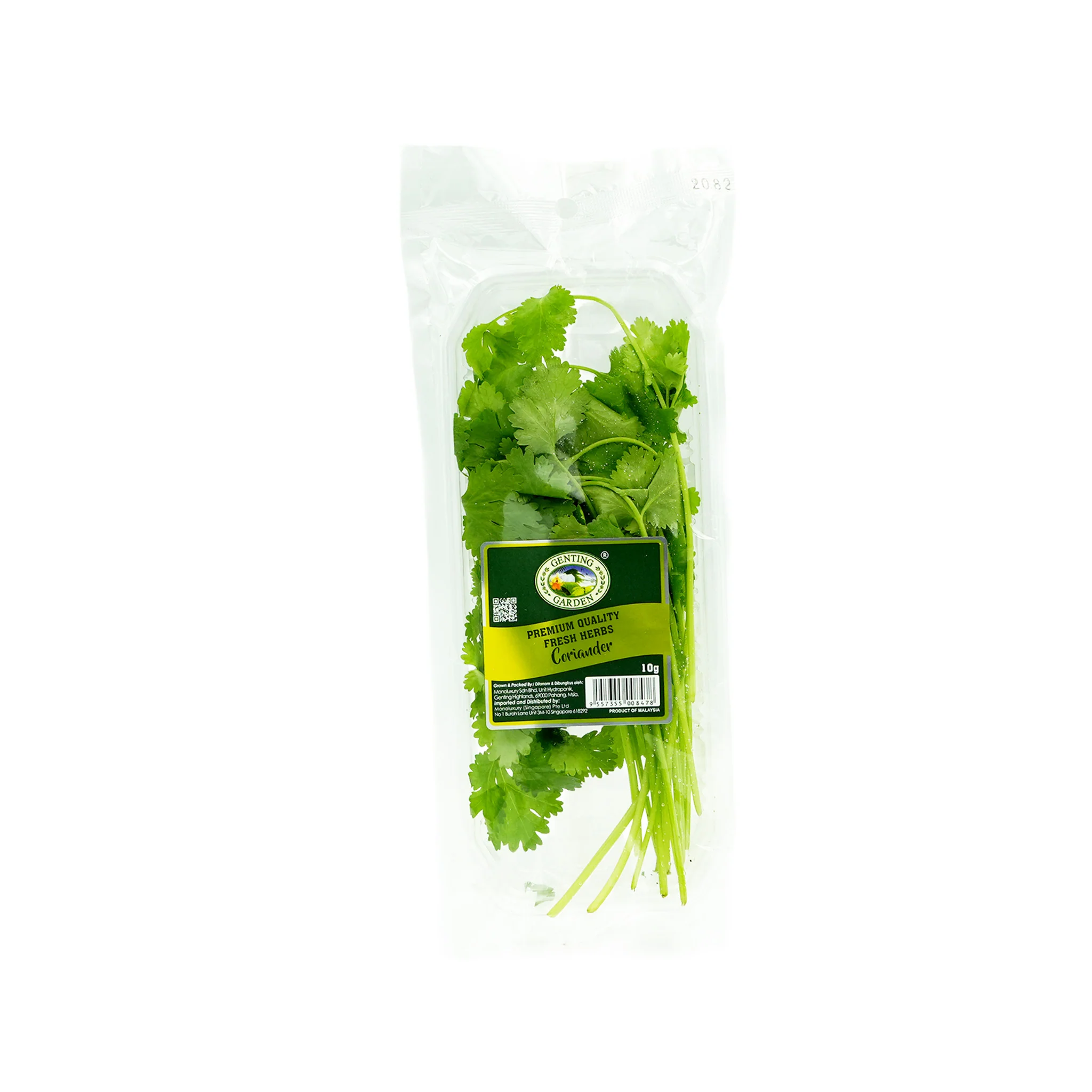 Genting Garden Coriander Leaves (Malaysia) 10g - Image 2