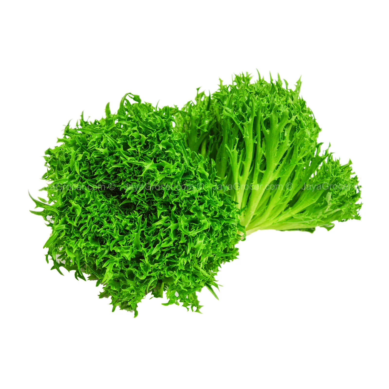 Genting Garden Curly Crisp Lettuce (Malaysia) 180g - Image 2