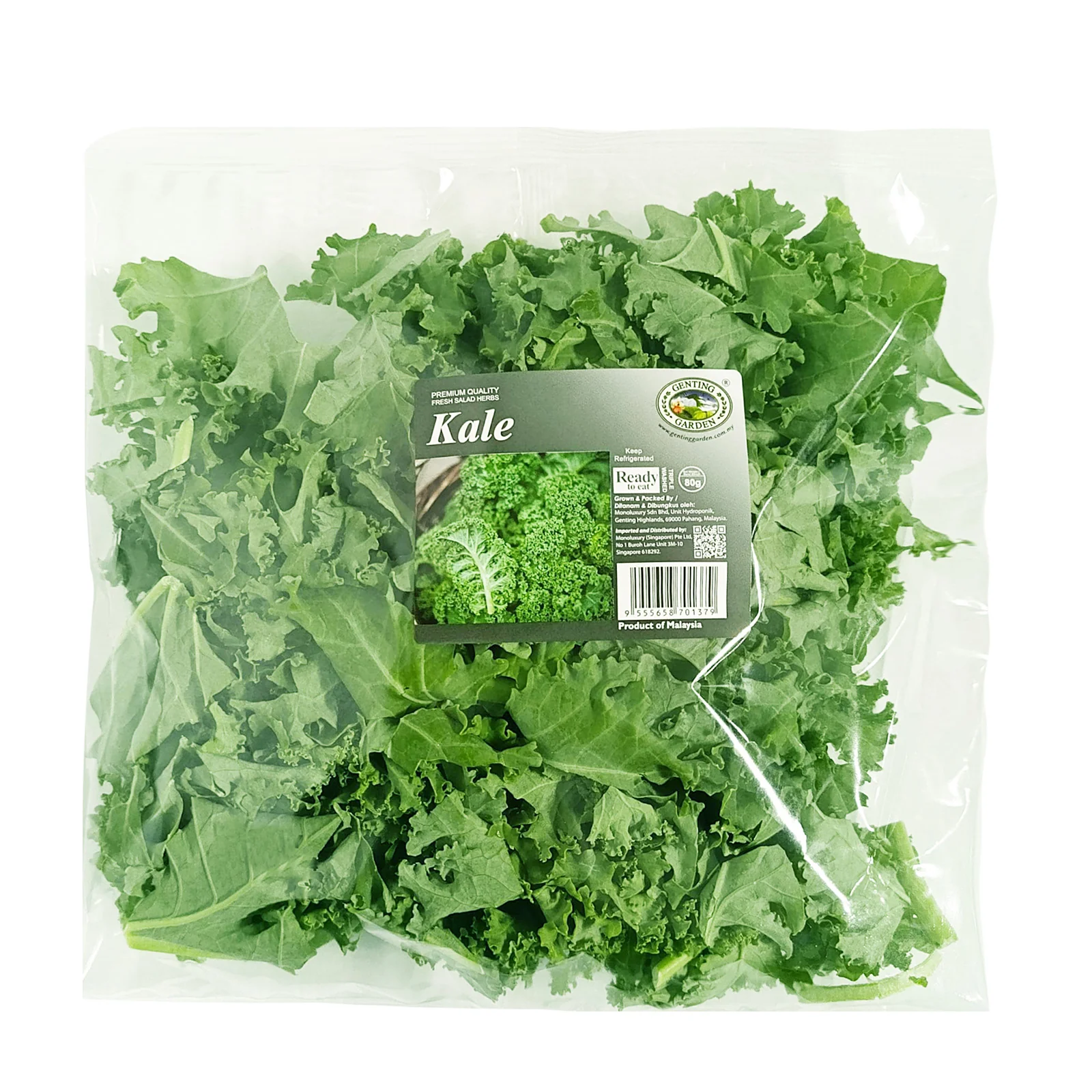 Genting Garden Kale (Malaysia) 80g - Image 2