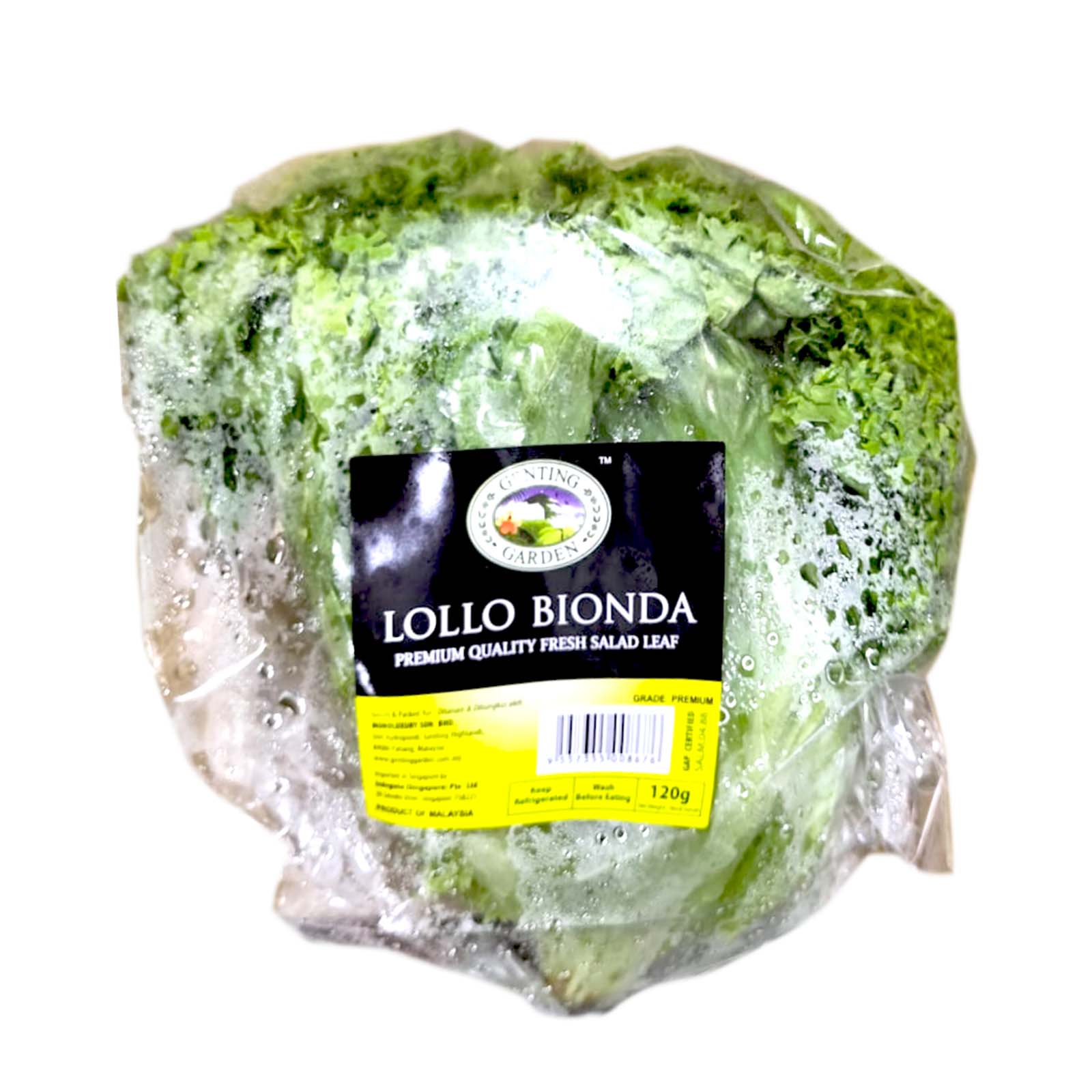 Genting Garden Lollo Bionda Lettuce 120g - Image 2
