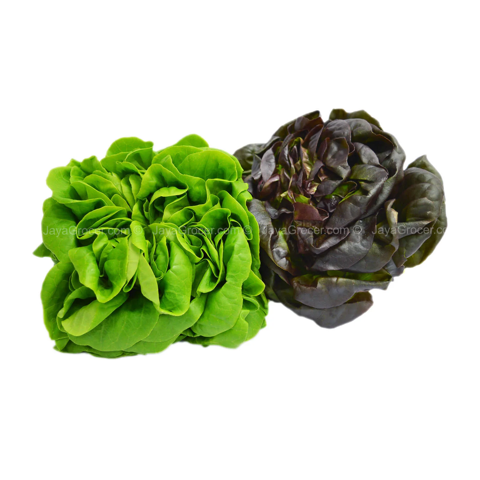 Genting Garden Salad Royale 2pcs/pack - Image 2