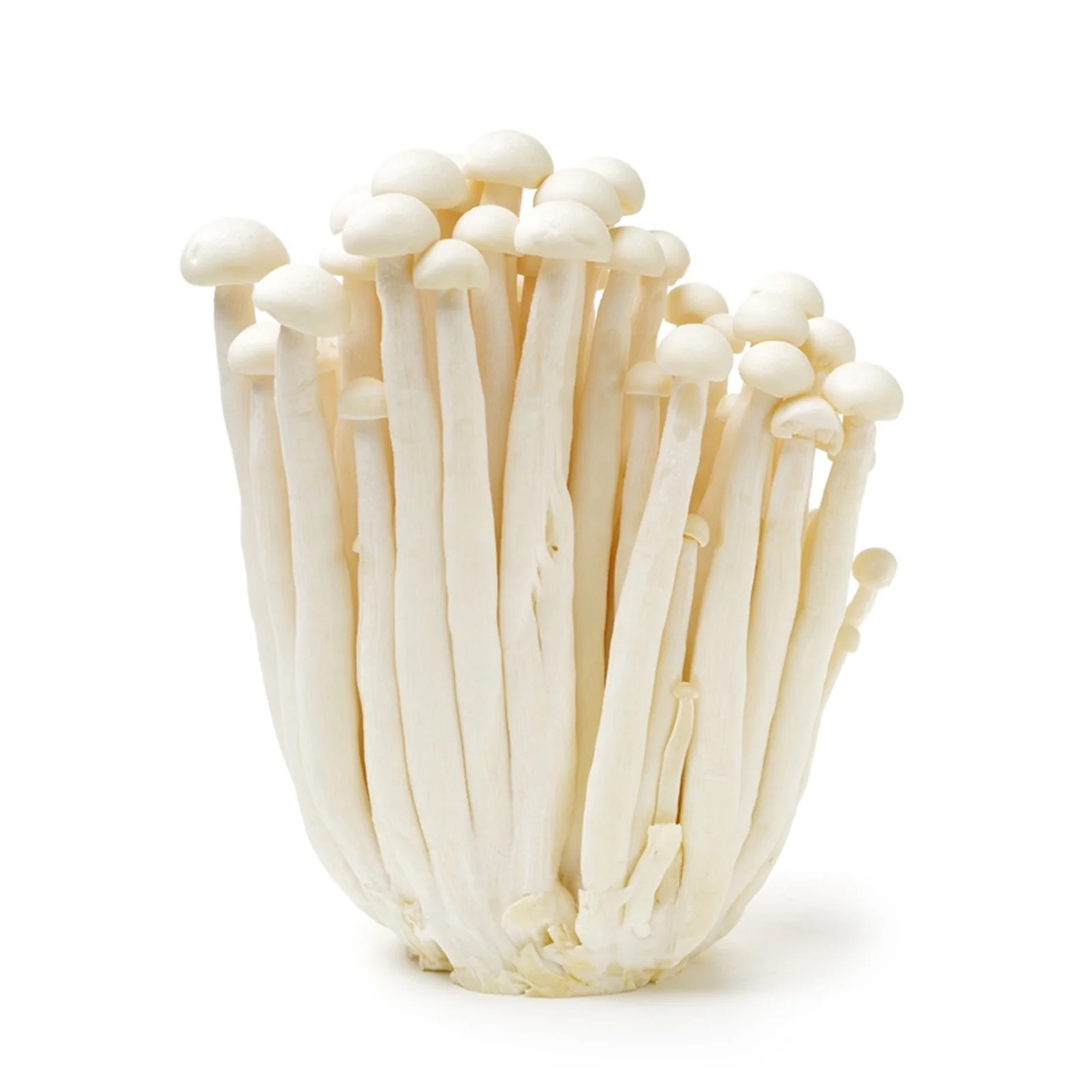 Greenstable White Crab Mushroom (China) 150g - Image 2