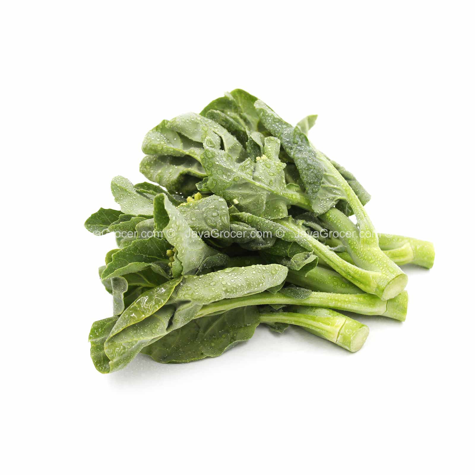 Hong Kong Kailan (China) 200g - Image 2