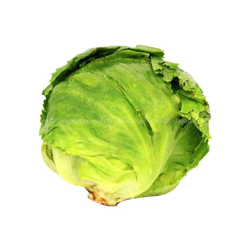 Cameron Garden Iceberg Lettuce 300g - Image 2