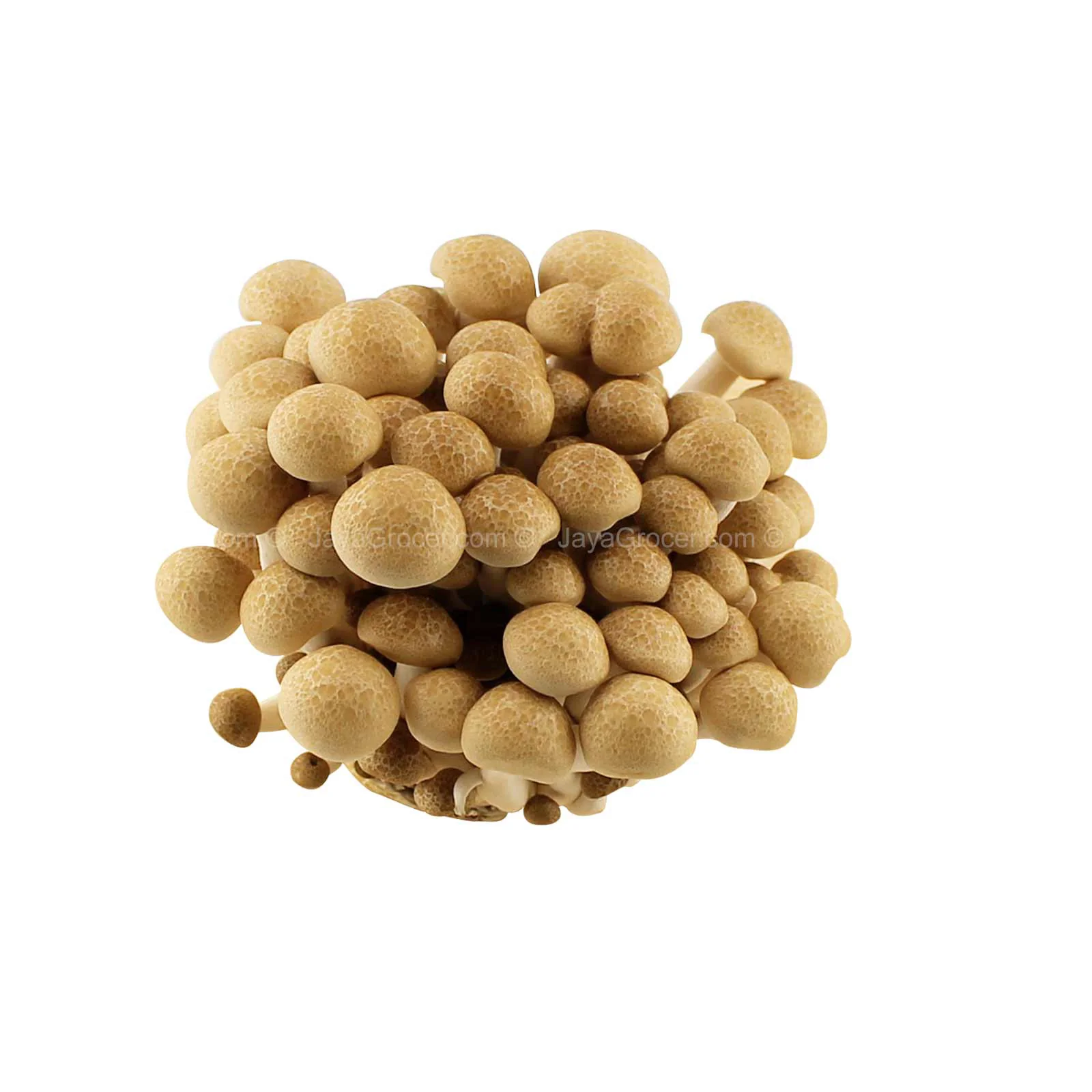 Buna Shimeji Mushrooms (China) 150g - Image 2