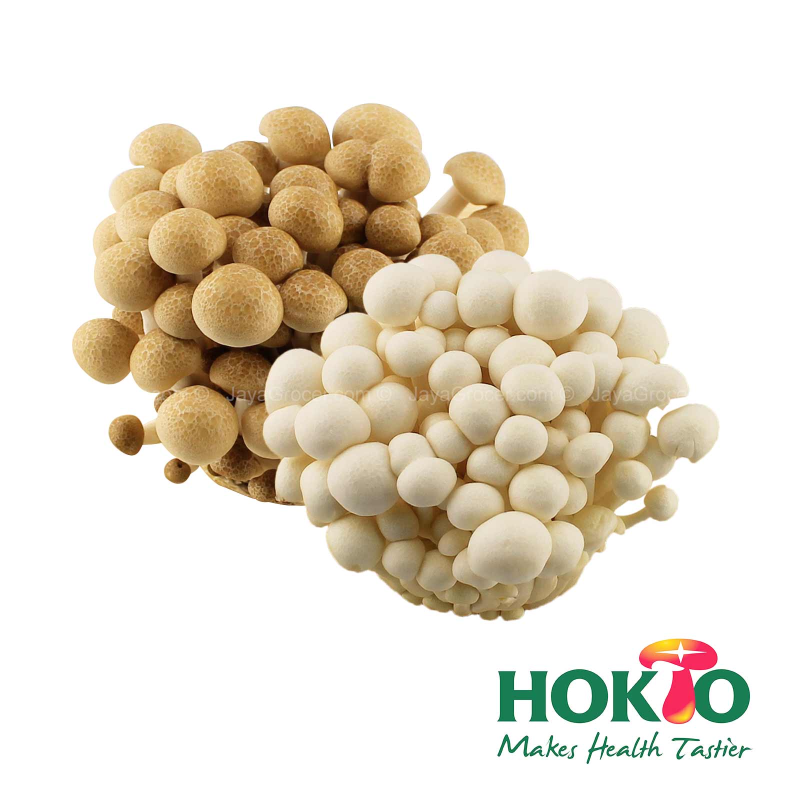 Hokto Bunapi and Buna Mushroom 1pack - Image 2
