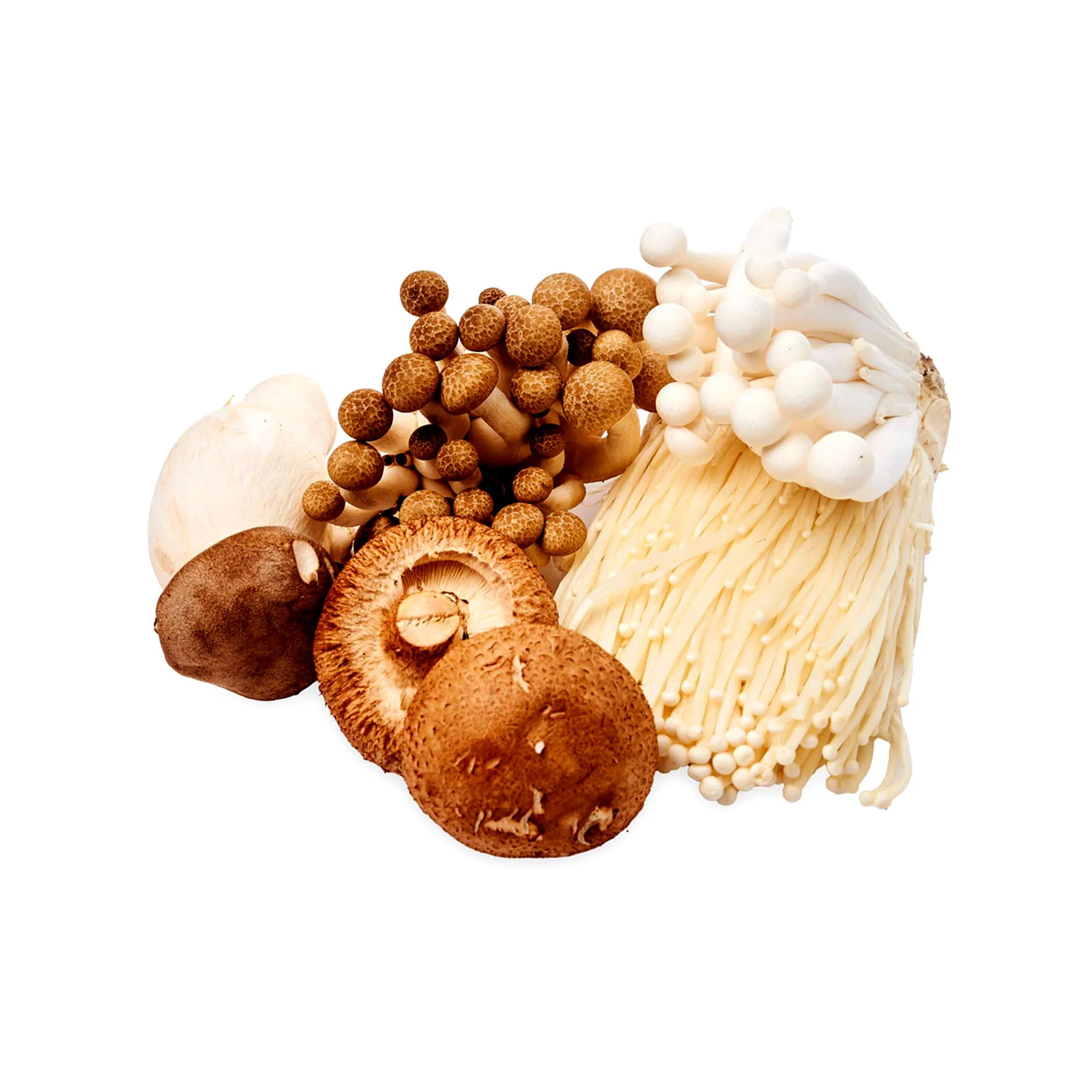 Mixed Mushroom (China) 400g - Image 2