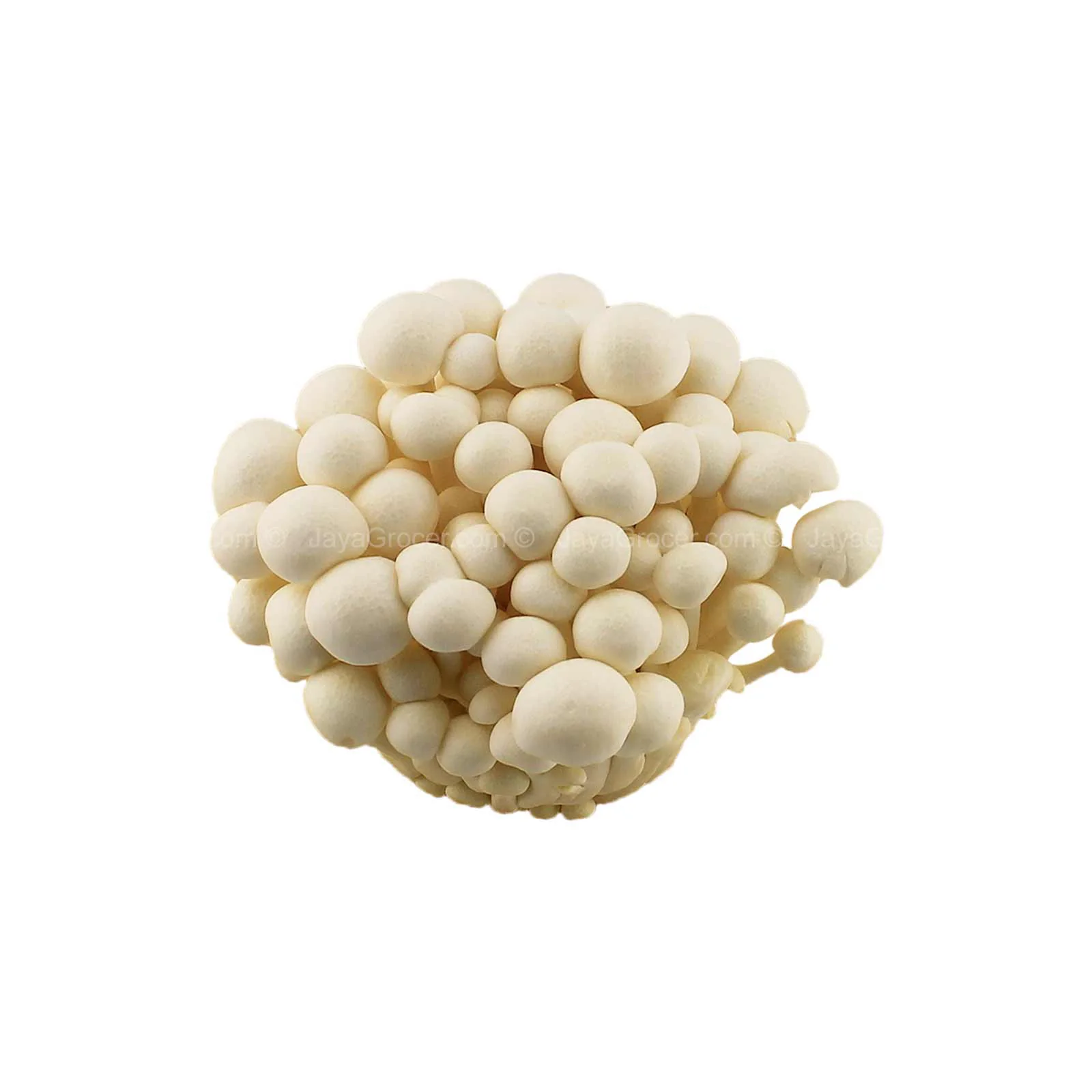 White Shimeji Mushroom (China) 150g - Image 2