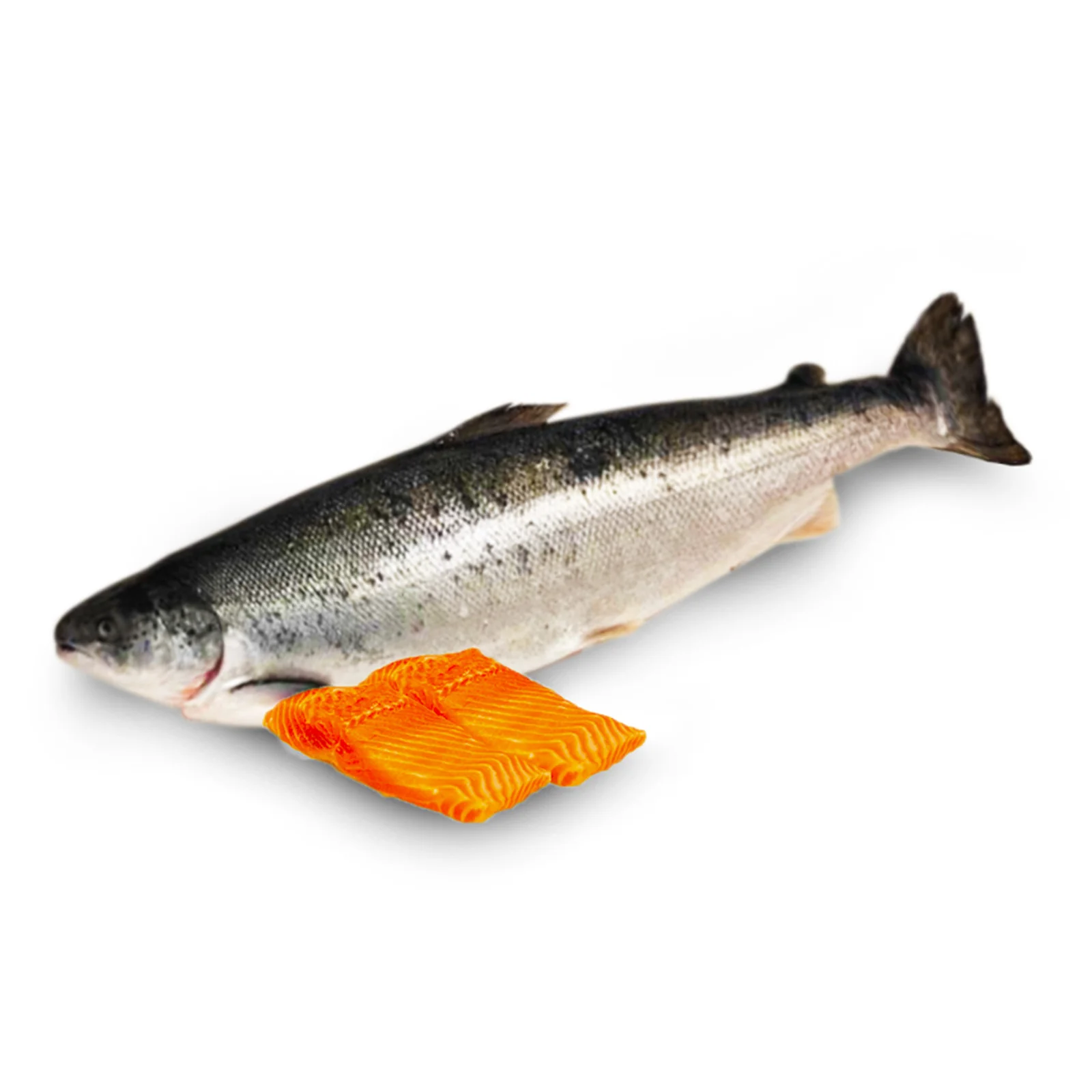 Norwegian Atlantic Salmon Fillet 200g - Image 2