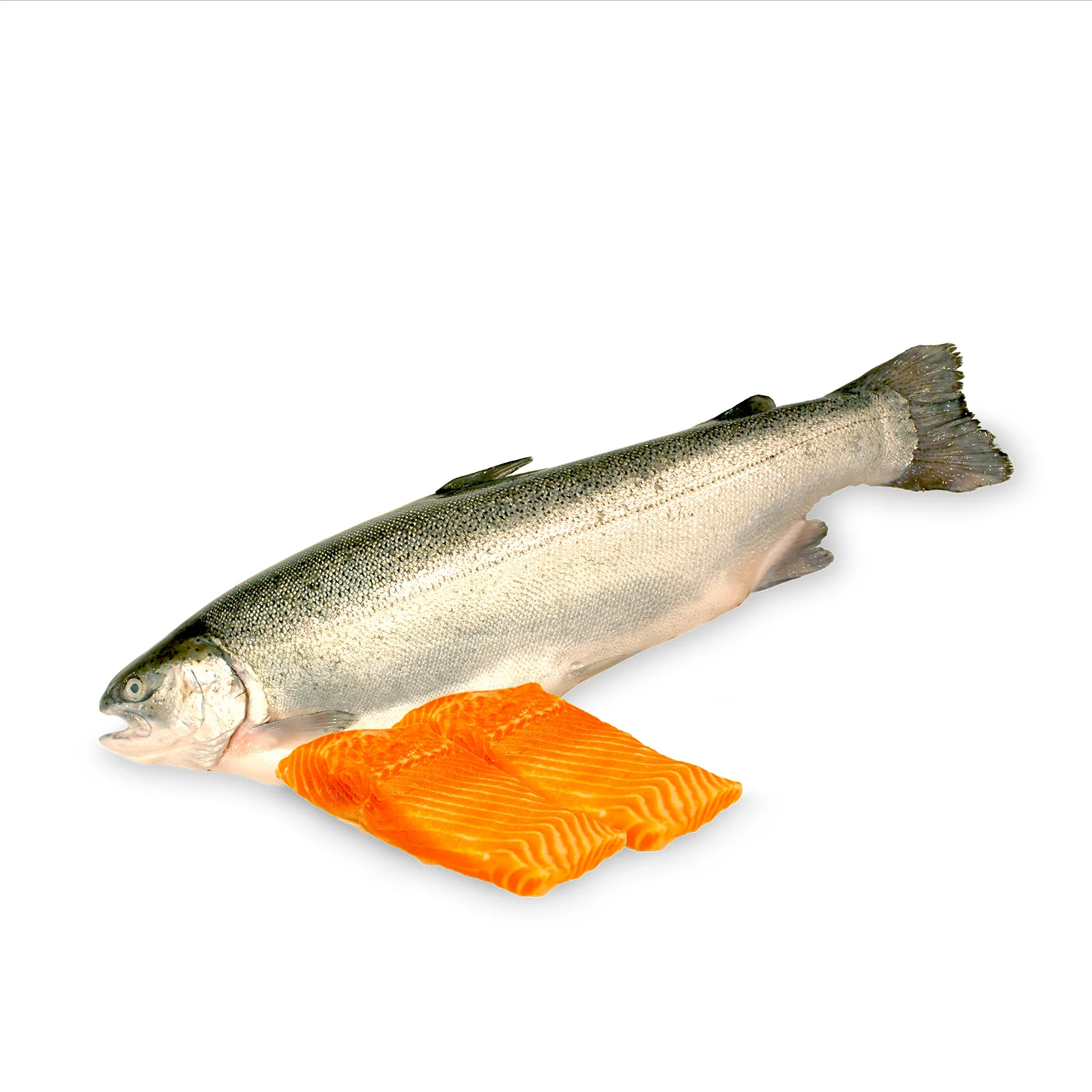 Norwegian Fjord Trout Fillet 200g - Image 2