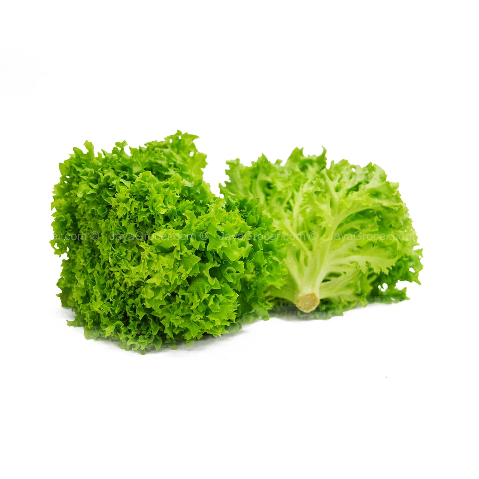 Paprika Farm Green Coral Lettuce (Malaysia) 200g - Image 2