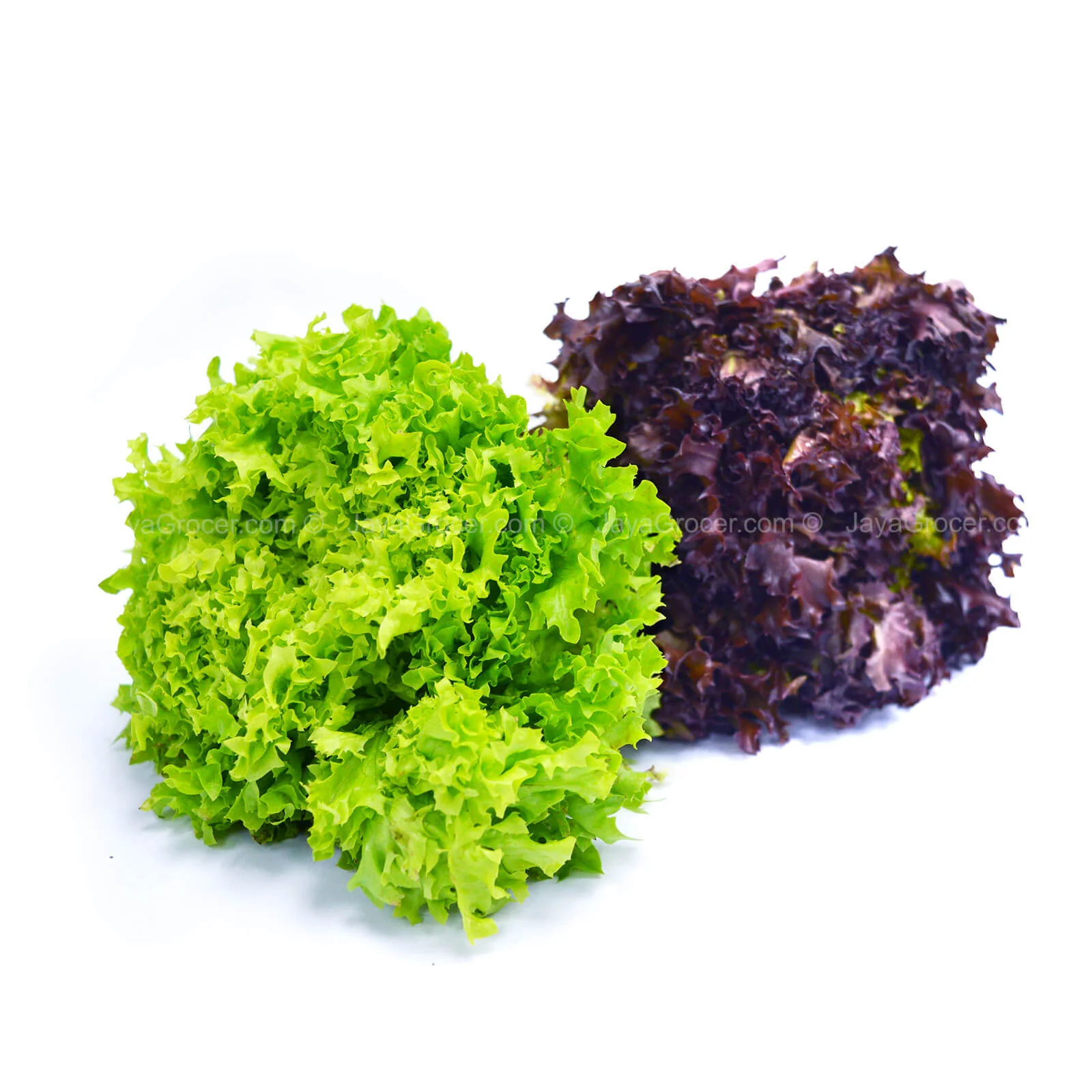 Paprika Farm Red/Green Coral Lettuce 200g - Image 2