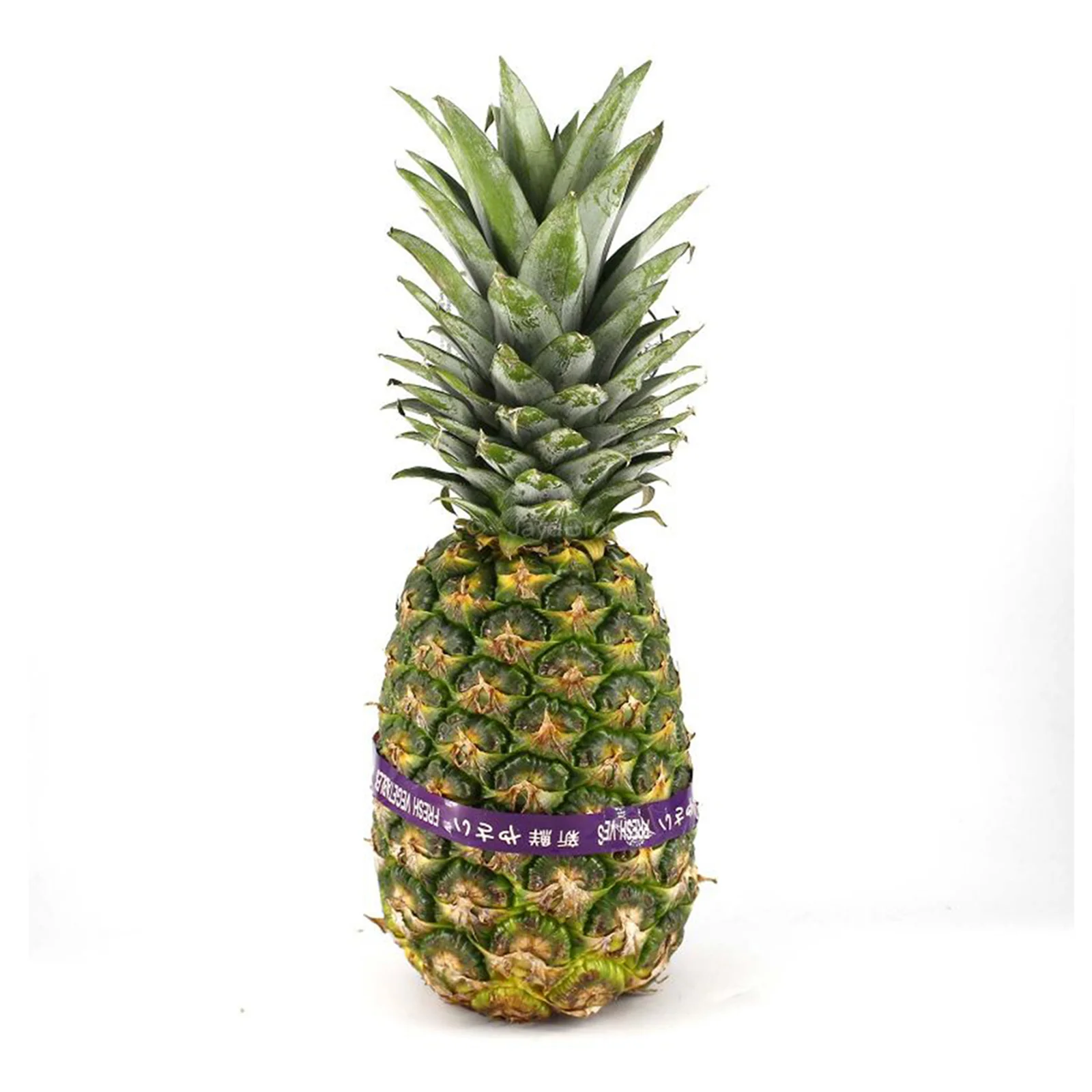 MD2 Pineapple (Malaysia) 1unit - Image 2