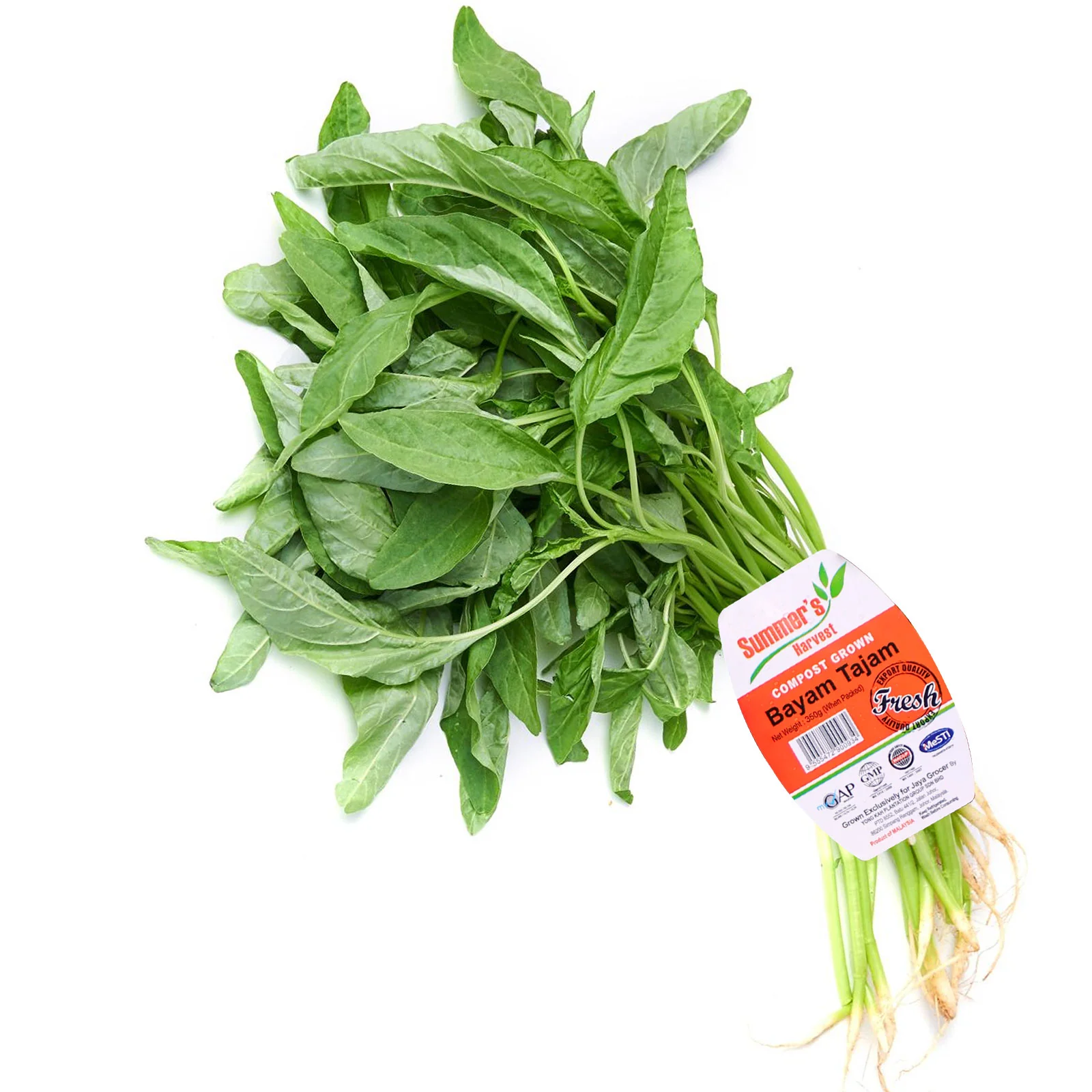 Summer Harvest Sharp Spinach (Bayam Tajam) 250g - Image 2