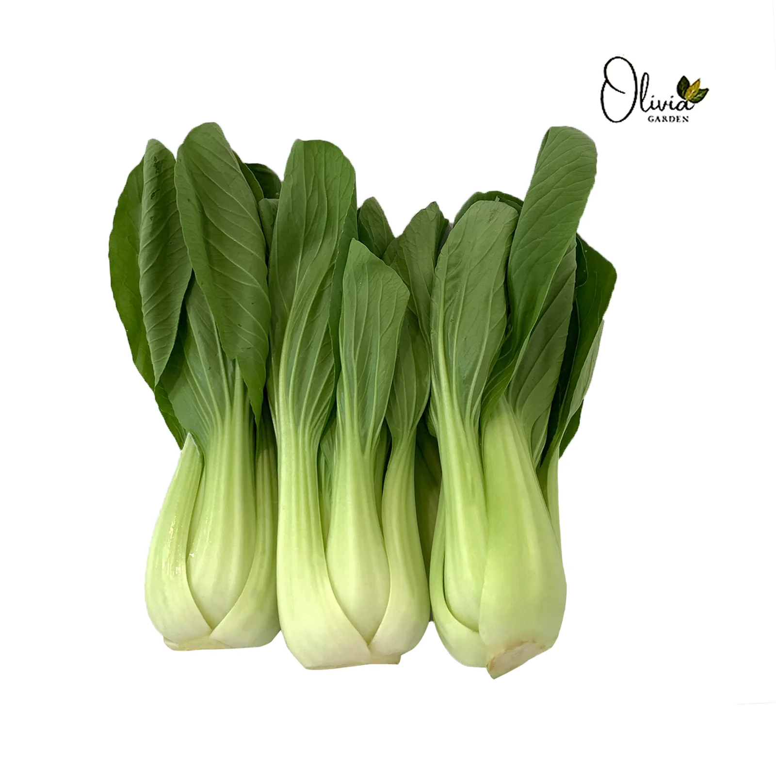Siew Pak Choy (Malaysia) 500g - Image 2