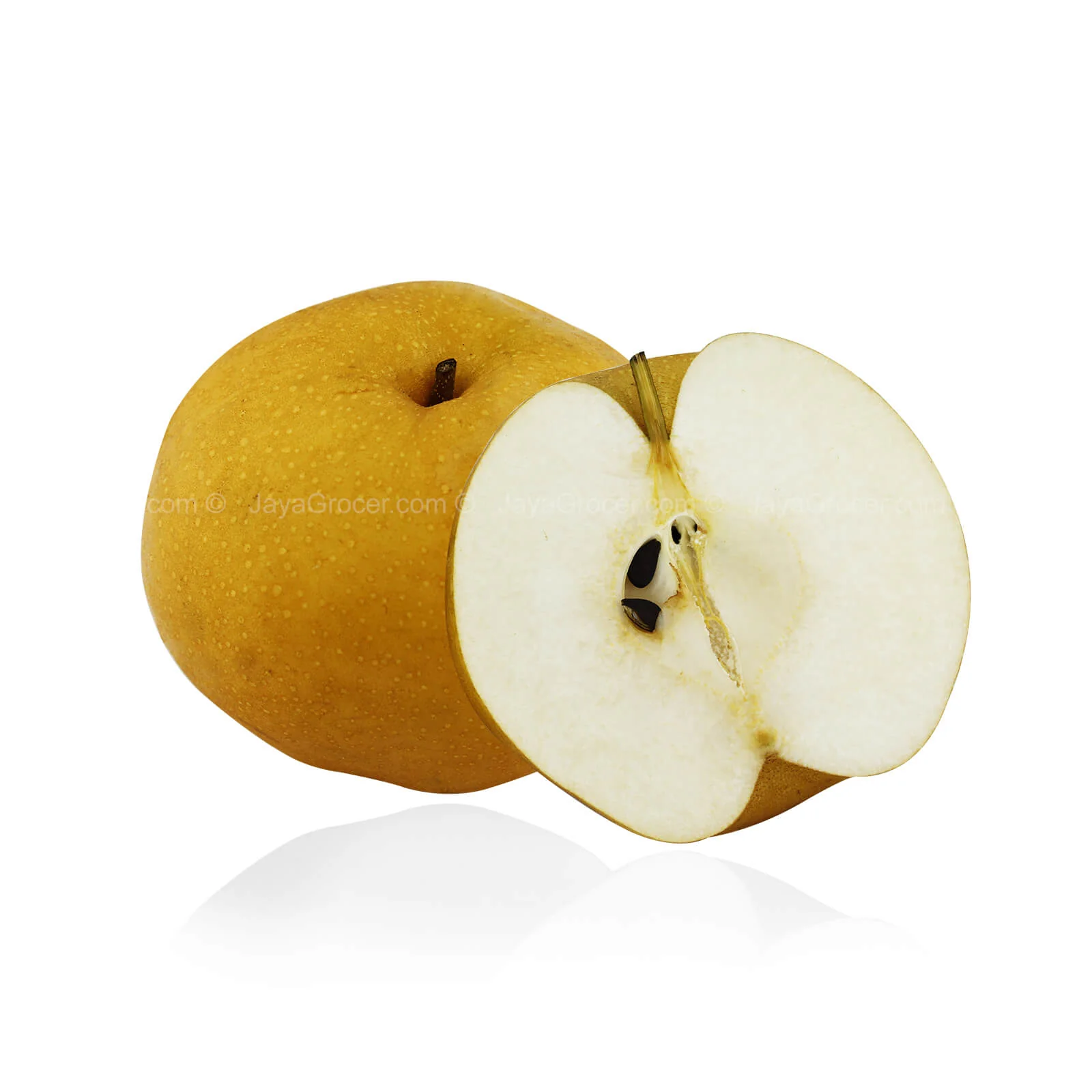 Singo Pear (China) - Image 2