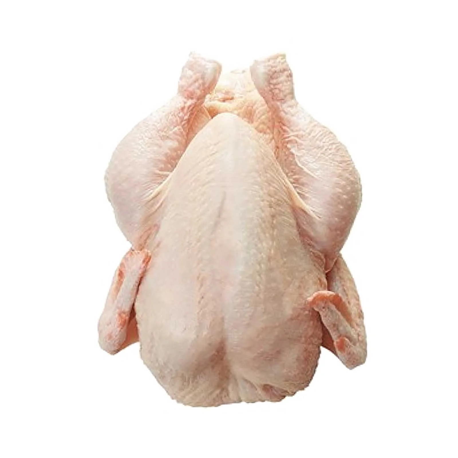 Frozen Spring Chicken 1unit - Image 2