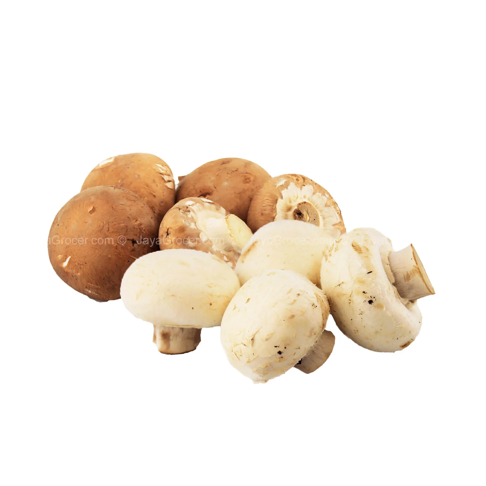 Tuscan 2 in 1 Mushroom (Malaysia) 250g - Image 2