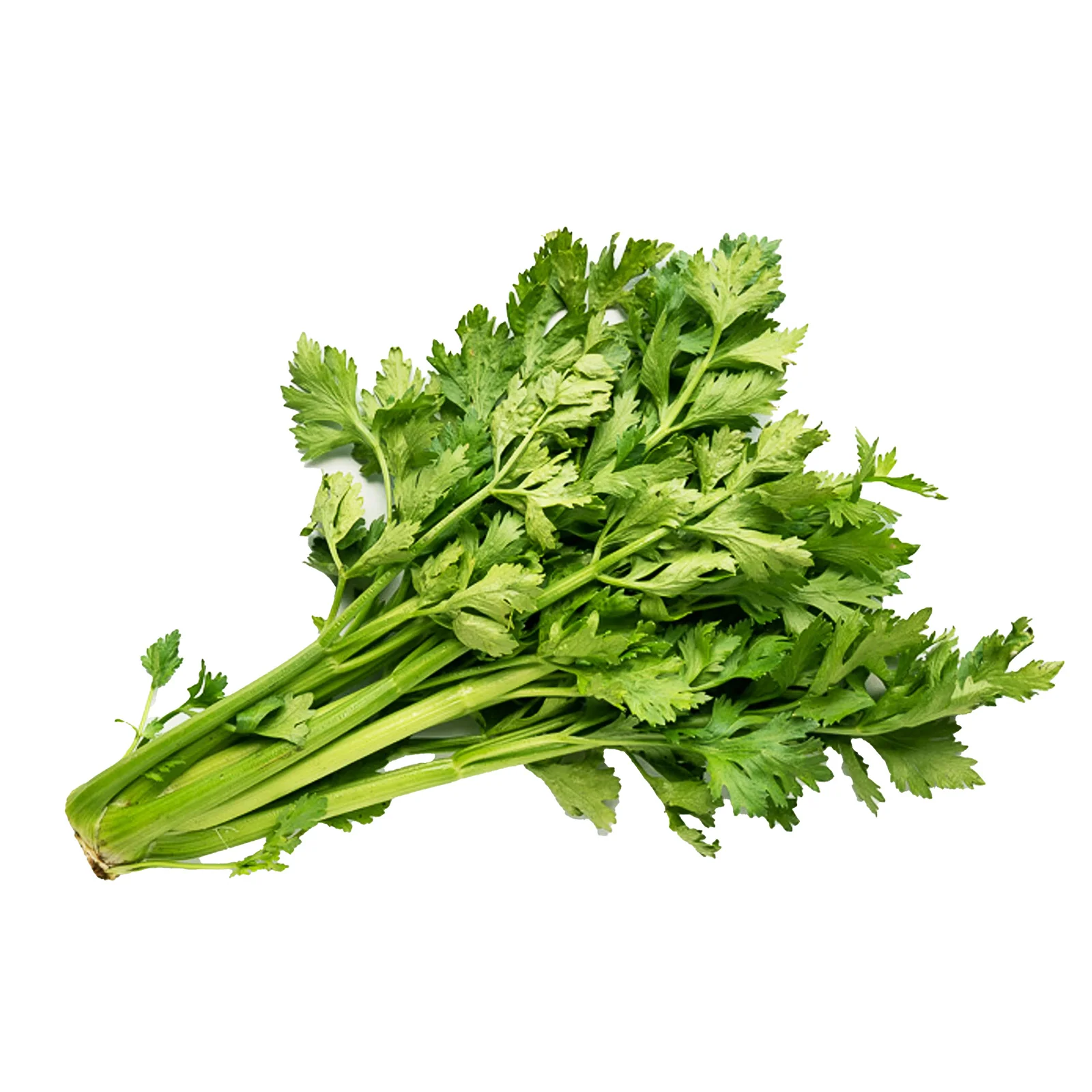 Celery Baby (China) 200g - Image 2